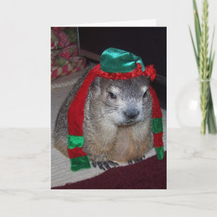 Festiva Tarjeta de Navidades Groundhog