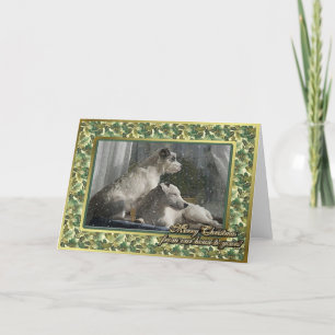 Festiva Tarjeta de Navidades Jack Russell Terrier Dog Blan