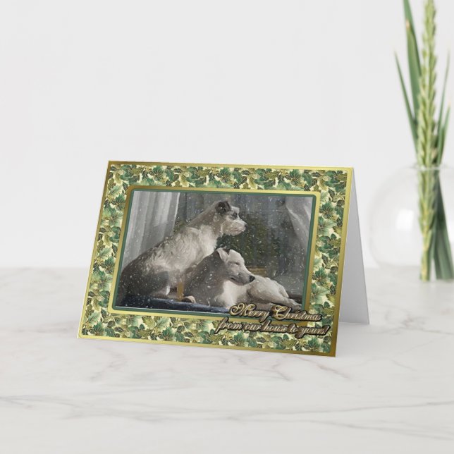Festiva Tarjeta de Navidades Jack Russell Terrier Dog Blan (Anverso)