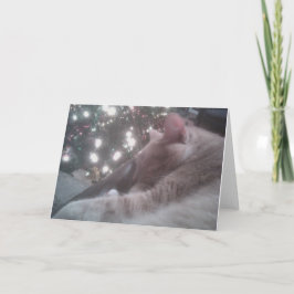 Festiva Tarjeta de Navidades Kitty