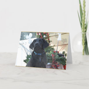 Festiva Tarjeta de navidades ~ Labrador Recuperador