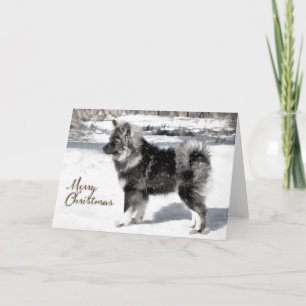 Festiva Tarjeta de Navidades Lapphund finlandesa