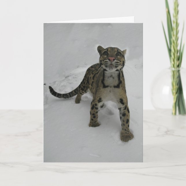 Festiva Tarjeta de navidades - Leopard nublado (Anverso)