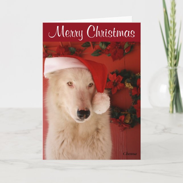 Festiva Tarjeta de Navidades Lobo Blanco (Anverso)