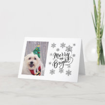 Tarjeta de Navidades malteses de Bichon Perro Cute