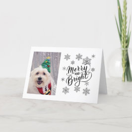 Festiva Tarjeta de Navidades malteses de Bichon Perro Cute