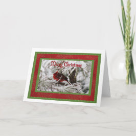 Festiva Tarjeta de Navidades masculinos del cardenal norte