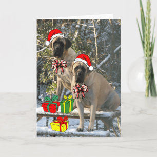 Festiva Tarjeta de Navidades Mastiff