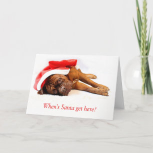 Festiva Tarjeta de Navidades Mastiff Francesa