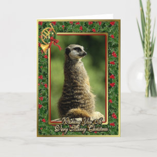 Festiva Tarjeta de Navidades Meercat African Animal Blank