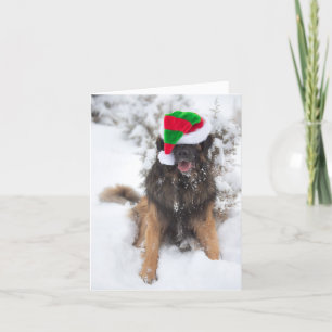 Festiva Tarjeta de Navidades Merry Merry Leonberger