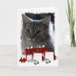 Festiva Tarjeta de Navidades para gato con Maine Coon Kitt