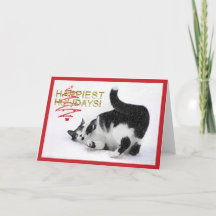 Tarjeta de Navidades para gato negro y blanco