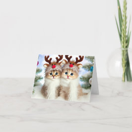 Festiva Tarjeta de Navidades para gatos