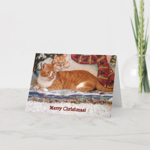Festiva Tarjeta de Navidades para gatos "Yo y mi sombra"