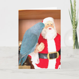 Festiva Tarjeta de Navidades Parrotlet Bird visita Santa C