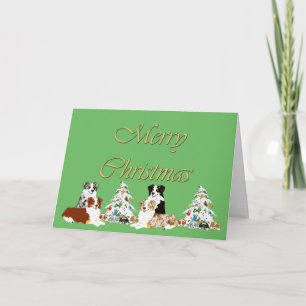 Festiva Tarjeta de Navidades Pastores Australianos