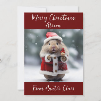 Festiva Tarjeta de Navidades personalizados Santa Hamster