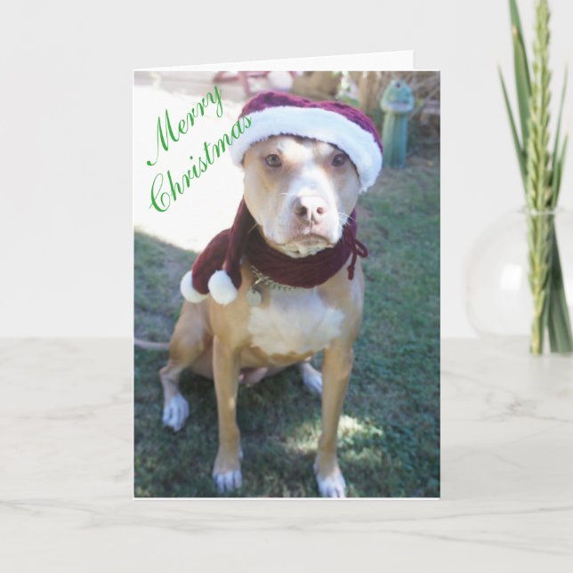 Festiva Tarjeta de Navidades Pit Bull (Anverso)