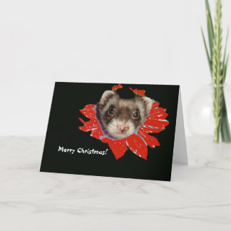 Festiva Tarjeta de Navidades Poinsettia Ferret