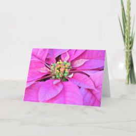 Festiva Tarjeta de navidades - Poinsettia rosa