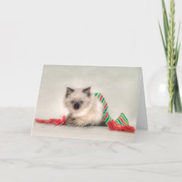 Festiva Tarjeta de Navidades Ragdoll