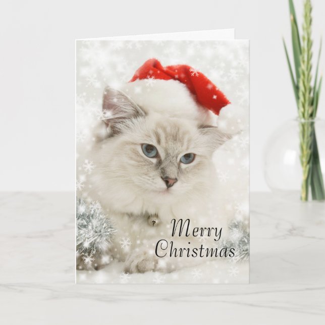 Festiva Tarjeta de navidades Ragdoll (Anverso)