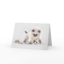 Tarjeta de Navidades Ragdoll kitten