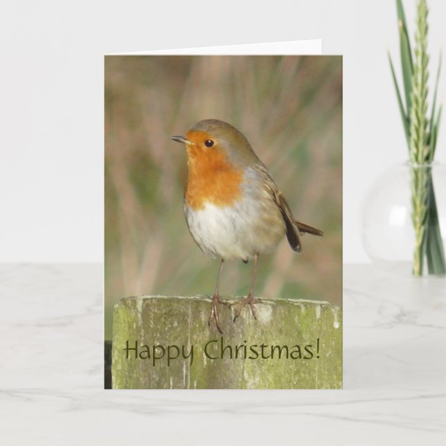 Festiva Tarjeta de Navidades Robin Europea (Anverso)