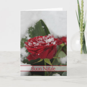 Festiva Tarjeta de Navidades rosa de invierno de Italia