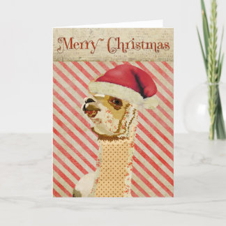 Festiva Tarjeta de Navidades Rosas de Alpaca