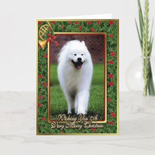 Festiva Tarjeta de Navidades Samoyed Dog Blank