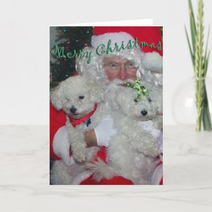 Festiva Tarjeta de Navidades Santa y Poodles