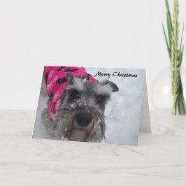 Festiva Tarjeta de Navidades Schnauzer