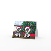 Tarjeta de Navidades Schnauzer en miniatura de Kin