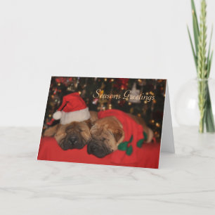 Festiva Tarjeta de Navidades Shar Pei Sleepy