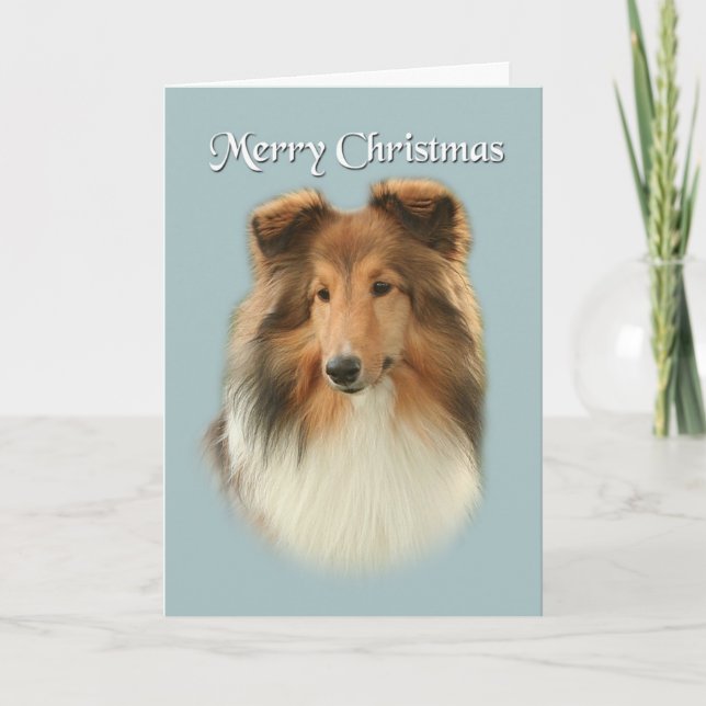 Festiva Tarjeta de Navidades Sheltie (Anverso)