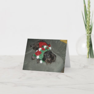 Festiva Tarjeta de Navidades Shih Tzu