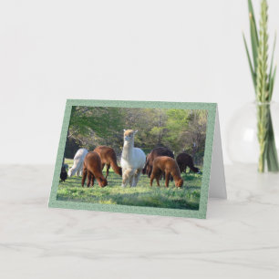 Festiva Tarjeta de Navidades Sleigh Belle