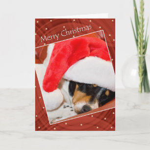 Festiva Tarjeta de Navidades Snoozing Dog In Santa Hat