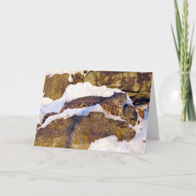Festiva Tarjeta de navidades Snow leopard (Anverso)