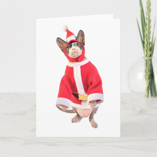 Festiva Tarjeta de Navidades Sphynx Cat (Anverso)