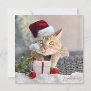 Festiva Tarjeta de Navidades Tabby FLAT de 5.25 pulgadas p