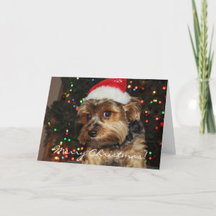 Festiva Tarjeta de Navidades Terrier Cute Yorkshire