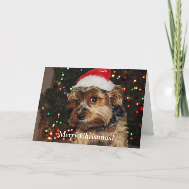 Festiva Tarjeta de Navidades Terrier Cute Yorkshire (Anverso)