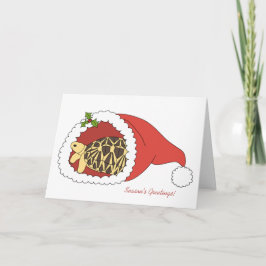 Festiva Tarjeta de Navidades Tortoise de estrella birmana 
