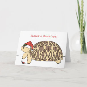 Festiva Tarjeta de Navidades Tortoise Estrella de personal