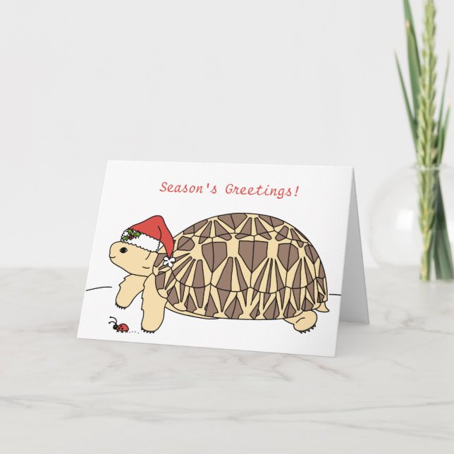 Festiva Tarjeta de Navidades Tortoise Estrella de personal (Anverso)