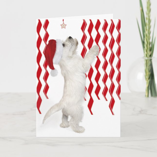 Festiva Tarjeta de Navidades Westie Pup Red, White y Zigza (Anverso)