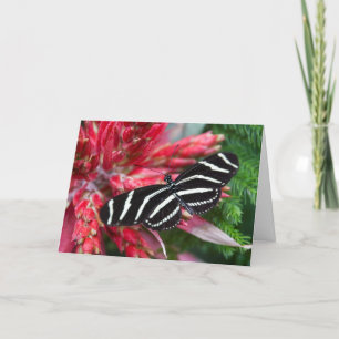 Festiva Tarjeta de Navidades Zebra Longwing